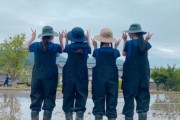 【乃木坂46】メンバーが植えた稲、今どうなってるの？