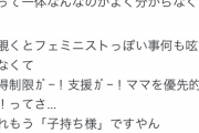 【悲報】独身の弱者女性、ブチギレ「結婚出産して男に屈服した分際で『私はフェミニストよ！』とか言ってる女、意味不明ｗ」