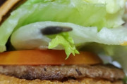 韓国で大手チェーンのハンバーガーからナメクジ　レタスに挟まり危うく食べるところ…