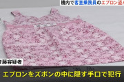 飛行機の中でCAのエプロンを盗んだ男「エプロンが助けを求めていた。守りたかった。」