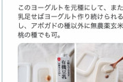 【悲報】Twitter民さん、豆乳を放置でするだけでヨーグルトになるというデマに騙される