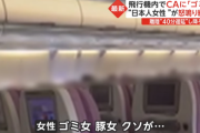 【恥ずかしい】日本人女性、「ゴミ女！豚女！」とCAに怒鳴り飛行機を降ろされる
