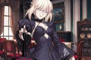【FGO】むっちりな谷間と艶っぽい太ももがセクシーな黒王！【FateGO】