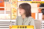 小林麻耶さん、突然降板を言い渡される  たぶん、原因はこの動画  これが現在の日本のメディア。事務所までクビに。。