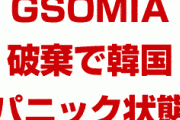 【速報】GSOMIA破棄で韓国中がパニック状態！　反対が賛成を上回る事態に！　文在寅の支持率も暴落開始！
