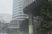 【大雪画像】東京、雪が積もり絶望...