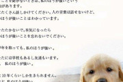 犬「おやつ欲しい媚び売るわん！」男「散歩いこ」犬「いくわん！わんわんいくわん！あー！！！」