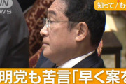 岸田首相「二階さんが政策活動費47億円を何に使ったかはプライバシーに関わるのでお答えできない