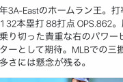 3Aホームラン王、ライアン・マクブルーム（1B/RF）、日本や韓国などのアジア球団と契約ｗｗｗｗｗ