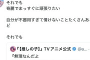 「Vtuberって夢を見せる職業なのになんで私情をペラペラ語るの？」⇒ネット民「パレード中に着ぐるみを脱ぎ出すディズニーランドやぞ」