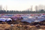 【動画】中国、武漢にて、広大な空き地に並ぶ遺体…、火葬出来ずに土葬するしか…