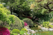 海外「ツツジが咲き誇る見事な日本庭園ですね！」ニューヨークにあるブルックリン植物園の日本庭園（海外の反応）