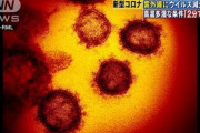 【新型コロナ】太陽光で急速に不活性化　温度や湿度の上昇でも効果　米政府データ公表