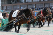 ばんえい競馬が1日の売上を記録更新し初の7億円越えに！SUGEEEEE