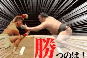 那須川天心と白鵬が相撲ルールで戦ったらどっちが勝つ！？【宣伝】