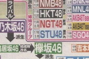【画像】ＡＫＢ系アイドル、さすがに多すぎるｗｗｗｗｗｗ