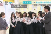 【悲報】日向坂メンバー、スッキリで春菜を豚呼ばわりし炎上ｗｗ
