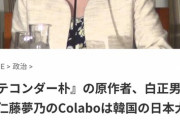 【悲報】テコ朴作者「colaboは抗日活動に参加している良心的人権団体だ。仁藤夢乃を守りたい」ﾄﾞﾝｯ