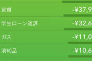 【画像あり】手取り18万ワオ、今月の出費が25万になり、無事死亡?