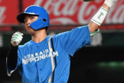 プロ野球詳しい人ハムと中日が覚醒した理由を教えてくれ