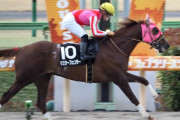 マスターフェンサー金蹄S勝利でドバイWC出走へ!!