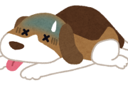 犬が手術後しばらくご飯食べなくてずっと寝ててほんと心配してたら彼が言った一言に耳を疑った・・・