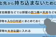 【トコジラミ警報】SHEINやQoo10等の中国・韓国の通販の段ボールからトコジラミが発生中←トコジラミは地獄だからガチで気をつけろ