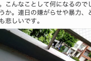 【朗報】辻元清美、とんでもないコントロール投手を見つけてしまうｗｗｗｗｗｗｗｗ
