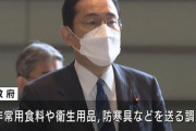 日本政府、ウクライナに食料支援を検討　パックご飯や魚の缶詰など