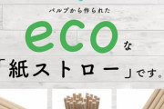 【悲報】？？？「紙ストローは嫌だ！！」←こいつの正体