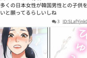 韓国人の反応「韓男と日女は相性抜群っていわれてるけど…」