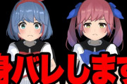 【VTuber】インボイスで身バレの危険はなくなったんだっけ？