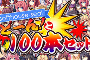 【画像】美少女ゲーム、100本セットを500円にする価格破壊セールを開催するｗｗｗｗ