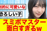 【宮地すみれ×オードリー】ひなあいでスミボマスターが爆誕するw