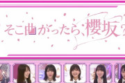 【悲報】櫻坂46の番組でパワハラ発生...スタッフの罵声が入り込む