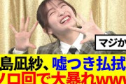 【櫻坂46】小島凪紗、嘘つき払拭か…ソロ回で大暴れwww