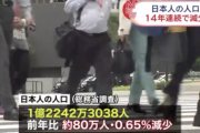 【悲報】日本人-800000　外国人+290000