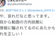 【悲報】炎上中のゆっくり解説YouTuber、今度は『なんJ民』にブチギレｗｗｗｗ