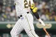 大敗の中に見えた光明　阪神・ロハスが来日1号含む2安打2打点「ホッとしたかな」
