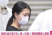 【画像】超絶美人OL、給付金詐欺で逮捕