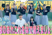 【日向坂46】ひななり野球回、おじさん歓喜のネタ満載