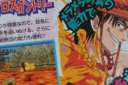 全盛期ワンピース「砂は濡れれば殴れる！」「ゴムに電気は効かん！」「マグマは炎より強い」←これ