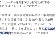【悲報】オイルヒーターとかいう暖房、ガチで富豪しか使っちゃだめな家電だった