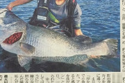 【釣り】一生に一度は釣りたい「日本三大怪魚」を駿河湾で捕獲…漁師「５０年漁をしているが初めて見た」