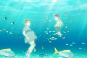 『白い砂のアクアトープ』3話感想 水族館の日常業務と新しい命の誕生！