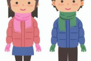 【衝撃】UNIQLOでアウター買おうとした結果、デザインがすごい事になっていたｗｗｗｗｗｗｗ