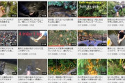 【朗報】ベトナム人youtuber｢日本の畑に自生している果物はおいしいのでレビューします｣→数百万再生