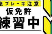 【悲報】運転教習中の女子「あっ！」 教官「おっ、轢いちゃったね～」ﾆﾔﾆﾔ