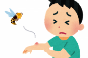 ハチに刺されたら小便かける　蚊に刺されたら唾を塗る　←これ