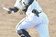 阪神ドラ６豊田　１軍昇格猛アピの３戦連続打点　平田２軍監督「状態はずっと良い」